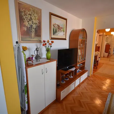Visnjik