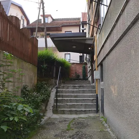 Visnjik